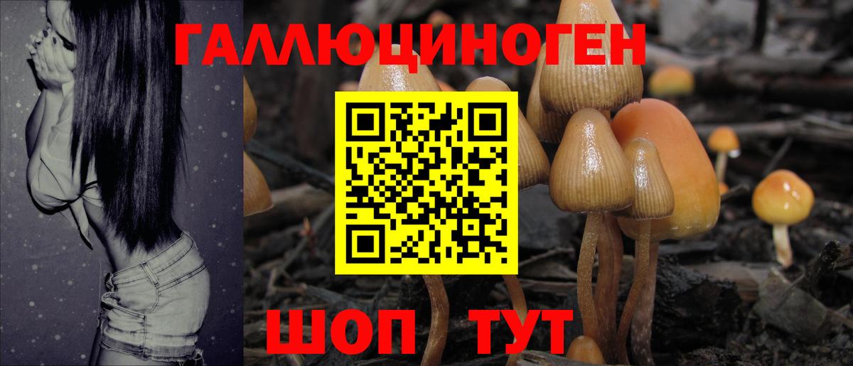 Галлюциногенные грибы MAGIC MUSHROOMS Ялуторовск